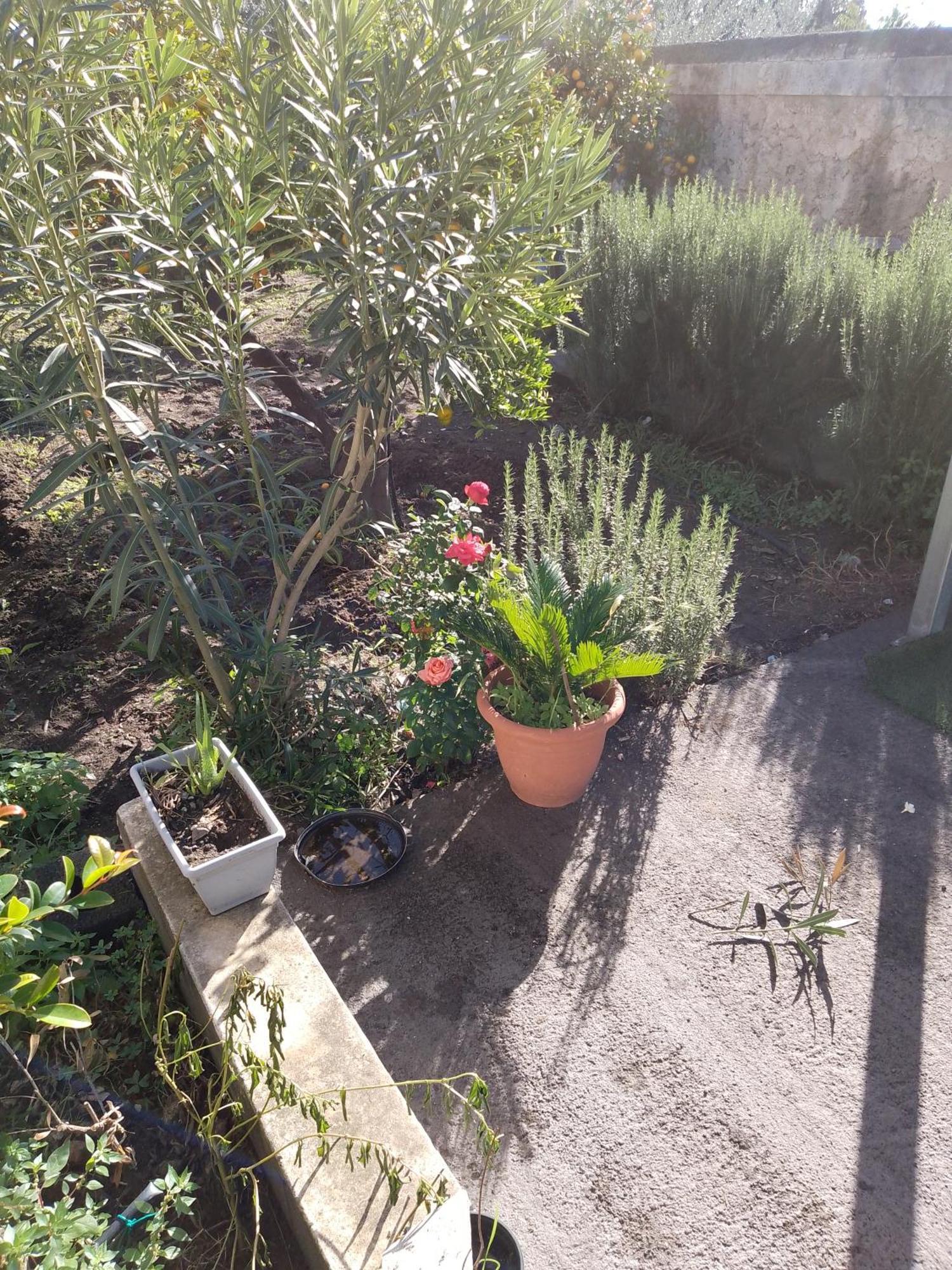 Le Casette Di Nonna Rosa In Fontanarossa Catania Airport Catânia Exterior foto