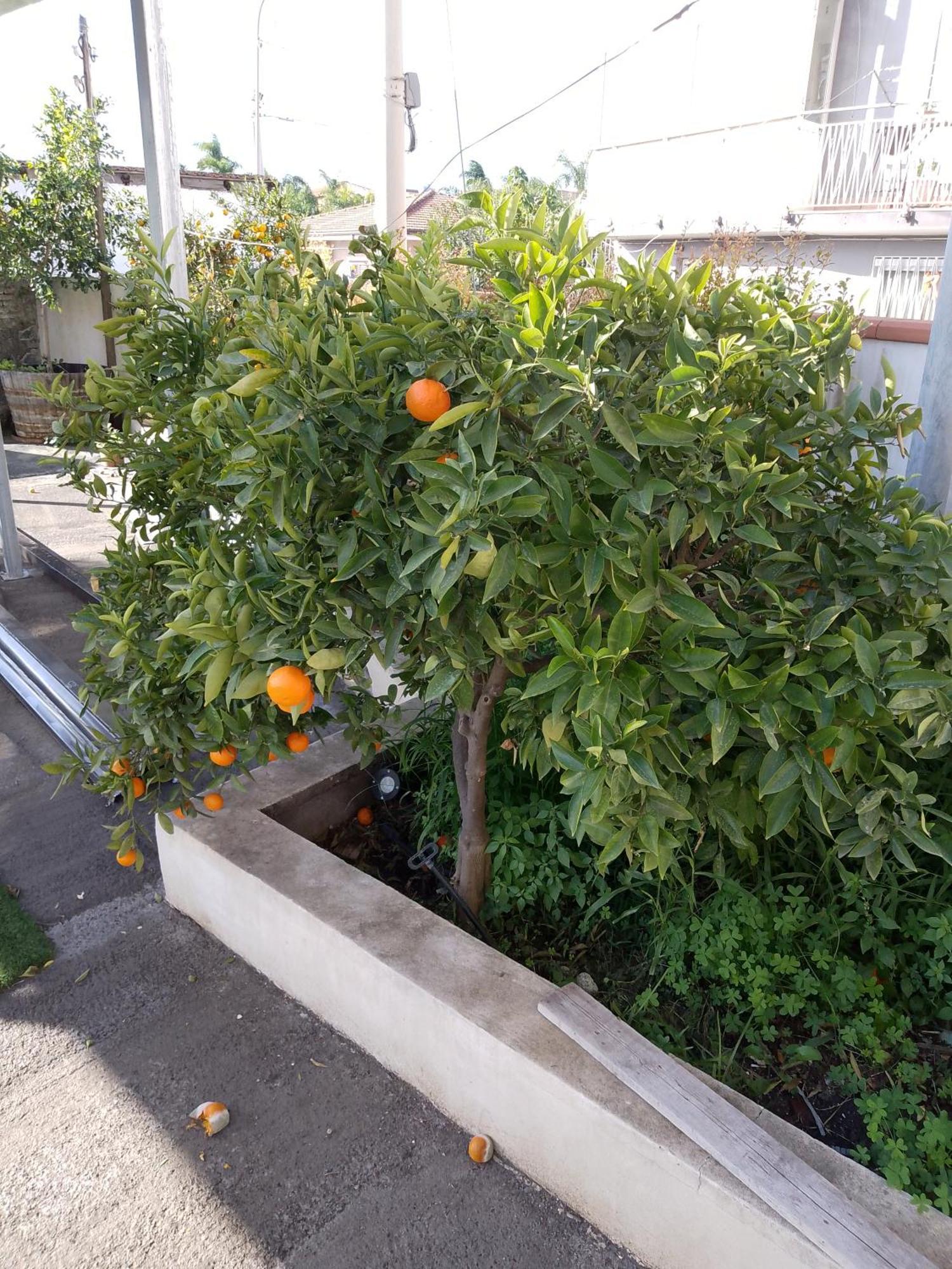 Le Casette Di Nonna Rosa In Fontanarossa Catania Airport Catânia Exterior foto